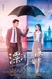 Через океан, чтобы увидеть тебя (2017)