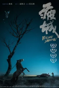 Убей тень (2017)