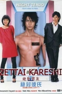 Идеальный парень (2008)