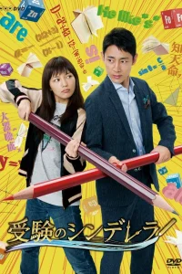 Спецкурсы для Золушки (2016)