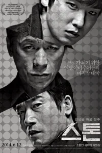 Камень (2013)
