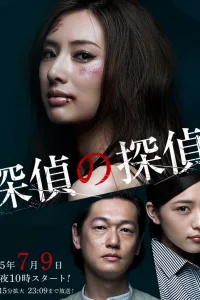Детектив против детективов (2015)